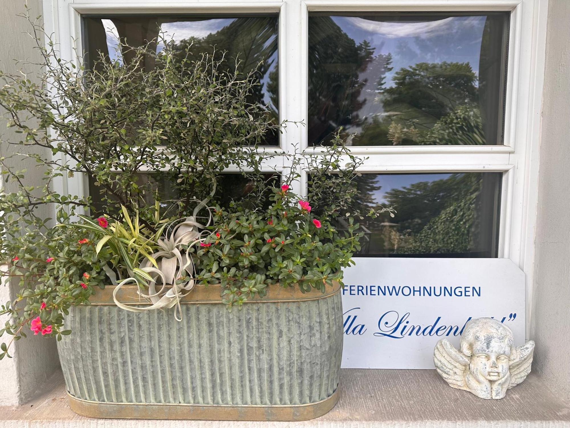 Apartmenthaus Villa Lindenbuehl Mühlhausen Eksteriør billede